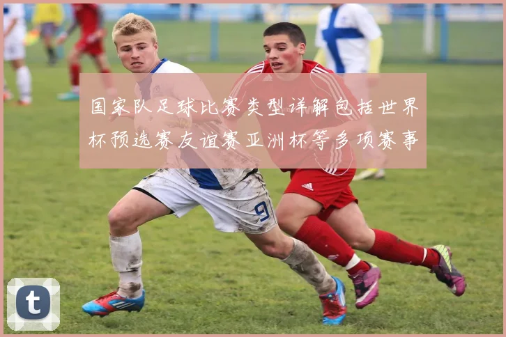 国家队足球比赛类型详解包括世界杯预选赛友谊赛亚洲杯等多项赛事分析