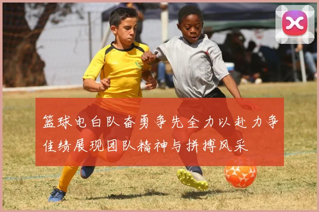 篮球电白队奋勇争先全力以赴力争佳绩展现团队精神与拼搏风采