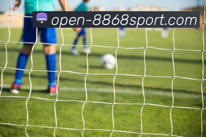 全网最全平台生态图